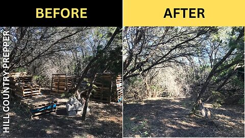 Pallet Shed Build / Moving things around