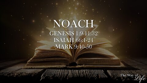 The Way of Life Shabbat Study: Noach