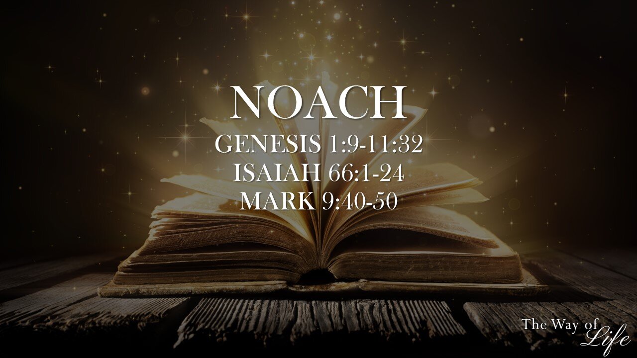 The Way of Life Shabbat Study: Noach