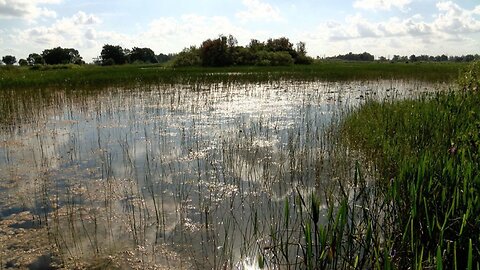 State of Florida to buy 20,000 acres in the Everglades