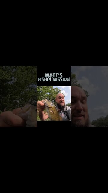 Smallmouth bass and rock bass in Ohio