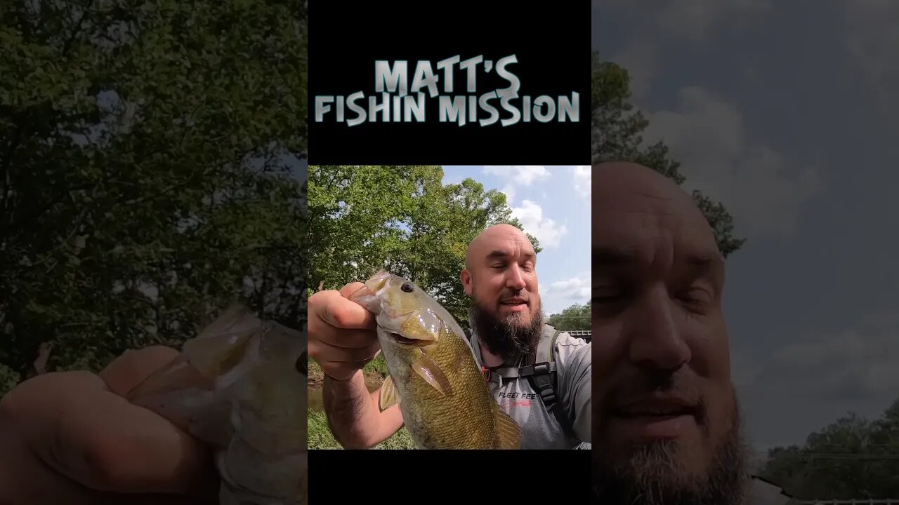 Smallmouth bass and rock bass in Ohio