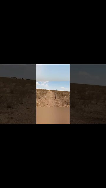 Running for your life.