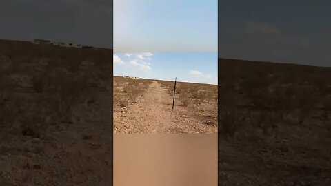 Running for your life.