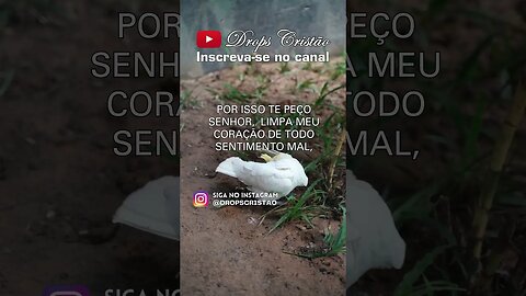 TORNADO DE FÉ: LOUVANDO NA TEMPESTADE, ENCONTRANDO FORÇA NA SOLIDÃO #oraçãodehoje #oraçãododia