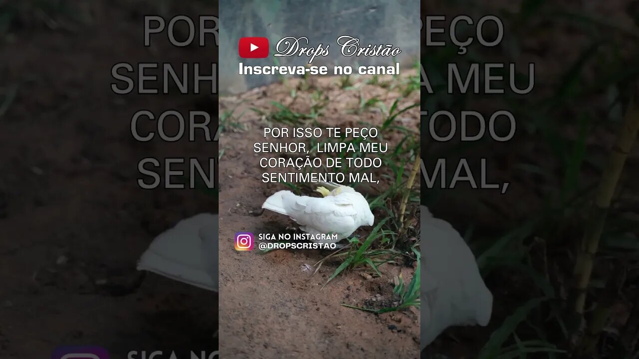 TORNADO DE FÉ: LOUVANDO NA TEMPESTADE, ENCONTRANDO FORÇA NA SOLIDÃO #oraçãodehoje #oraçãododia