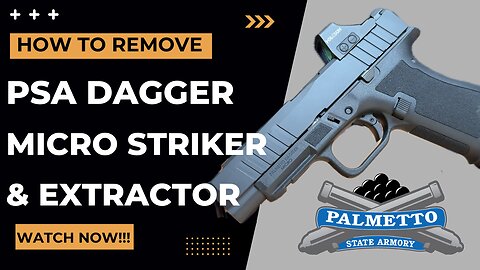 How to Field Strip Palmetto State Armory Dagger Micro C-1