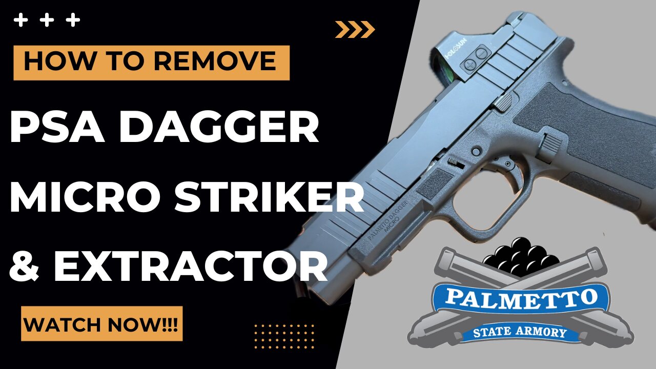How to Field Strip Palmetto State Armory Dagger Micro C-1