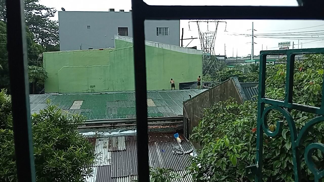 The Monkey On the Rooftop