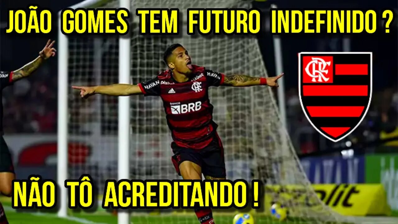 NÃO TÔ ACREDITANDO! DESTINO DE JOÃO GOMES INDEFINIDO? LYON PODE DAR CHAPÉU NO WOLVERHAMPTON