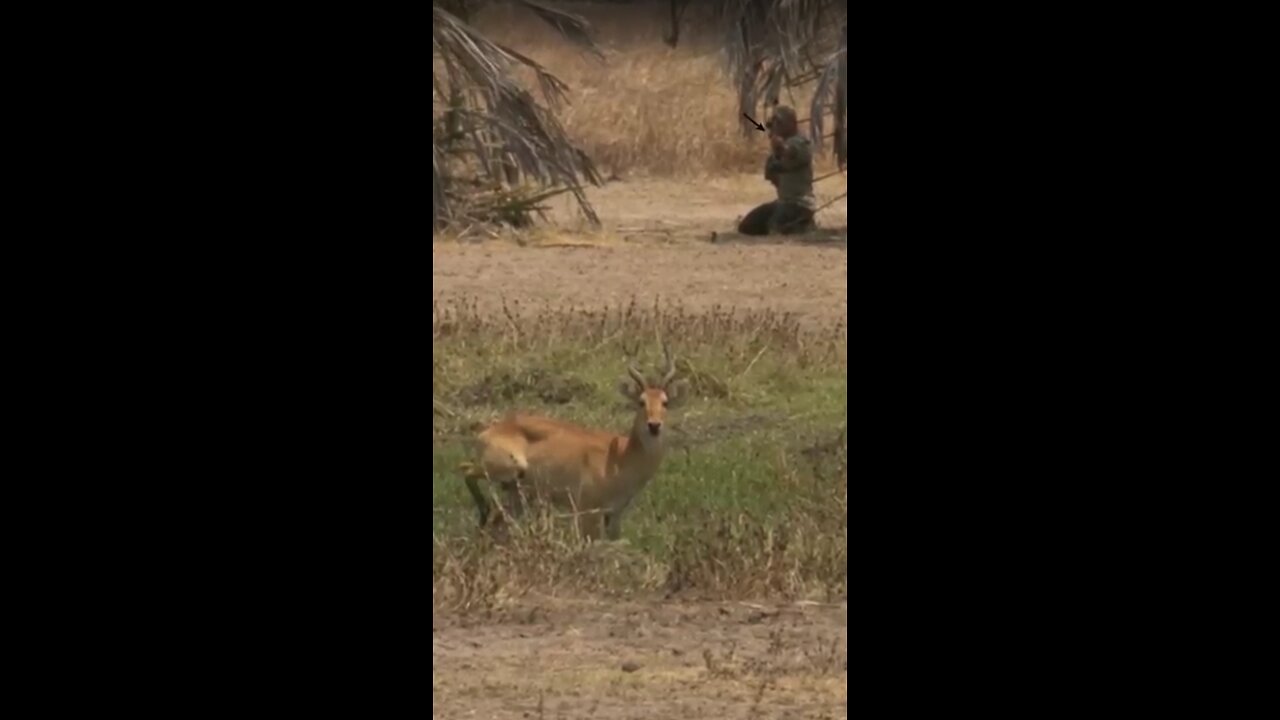Hunting Season