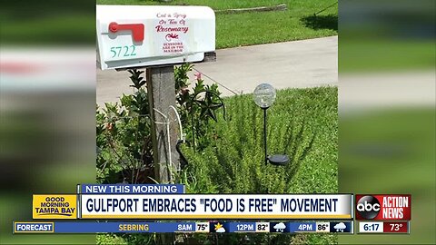 Gulfport neighbors embrace national “Food Is Free” movement