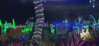 Things to do on Christmas in Las Vegas