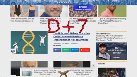 D-Series - D+7