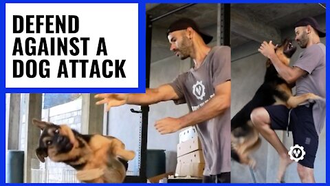 How to Defend Against Dog Attack With Few Simple Tricks