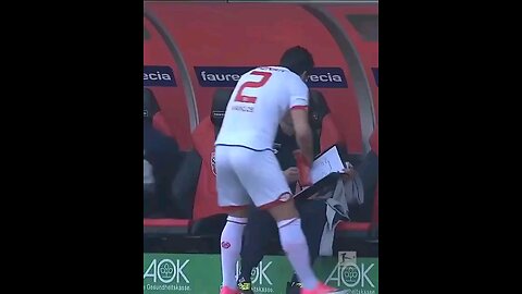 funny videos