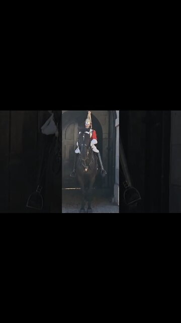 That's wicked making that horse stand there all day #horseguardsparade