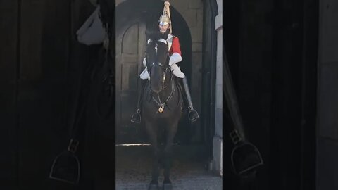 That's wicked making that horse stand there all day #horseguardsparade