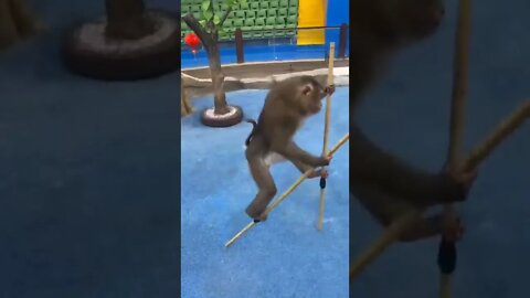amazing video 😍😍😍 | amazing views video 😳😳 | natural amazing video ❤ whatsapp comedy #shorts