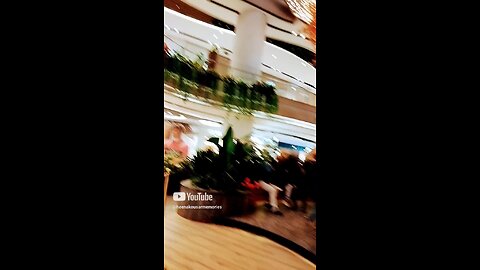 mini forest in pheonix mall of Asia