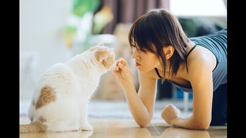 Learn 5 CAT TRICKS in 10 minutes - Easy & Cool Clicker Training Tricks