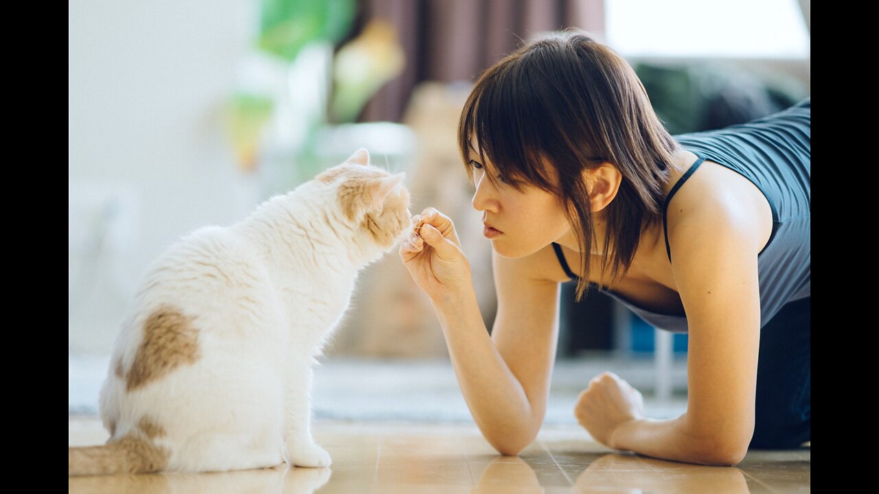 Learn 5 CAT TRICKS in 10 minutes - Easy & Cool Clicker Training Tricks