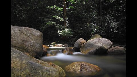 Relaxing Music with Nature Sounds
