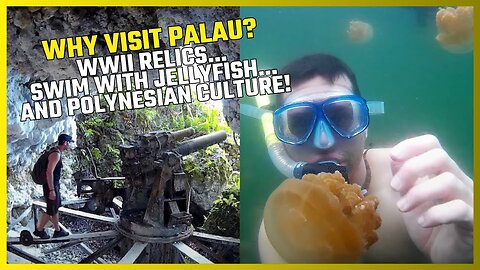 TRAVEL PALAU! 8 EXCELLENT REASONS TO VISIT PALAU IN THE MICRONESIAN REGION OF THE PACIFIC OCEAN