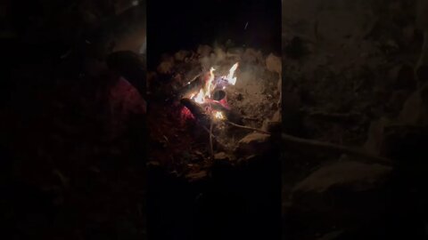#blairwitch