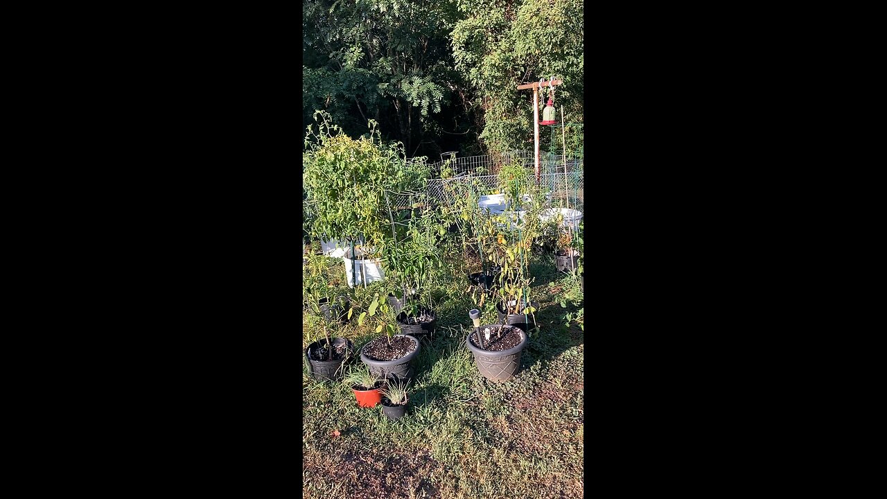 September Garden Cleanup