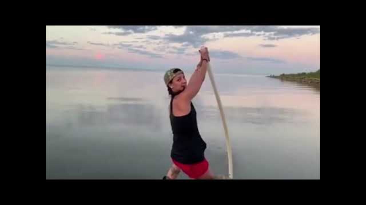 Viral Videos Compilation