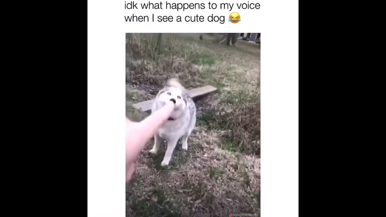 Girl sees cute Dog and losses her voice