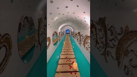 Vacation love #vacation #travelman #travel #love #subscribe #shorts