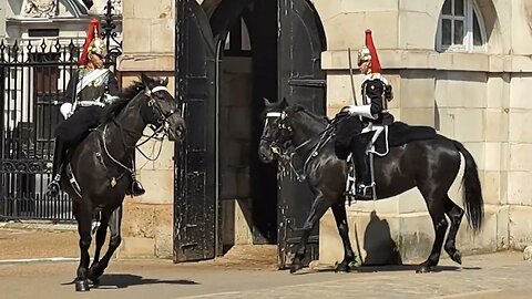 ONE HOUR HORSES CHANGE OVER #horseguardsparade