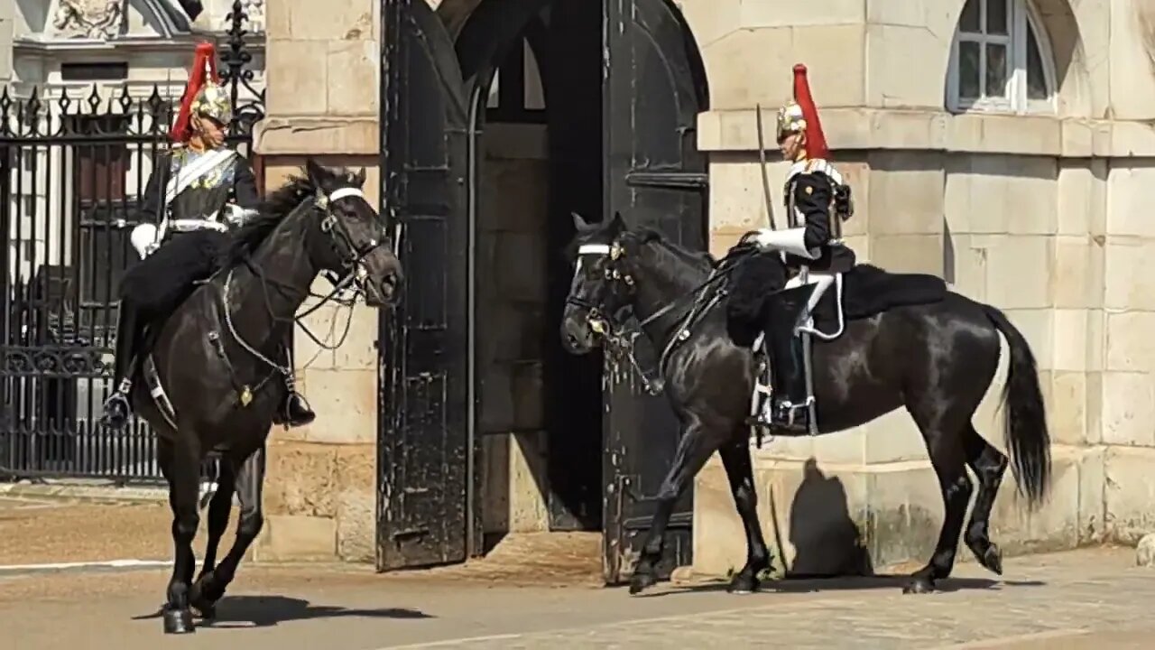ONE HOUR HORSES CHANGE OVER #horseguardsparade