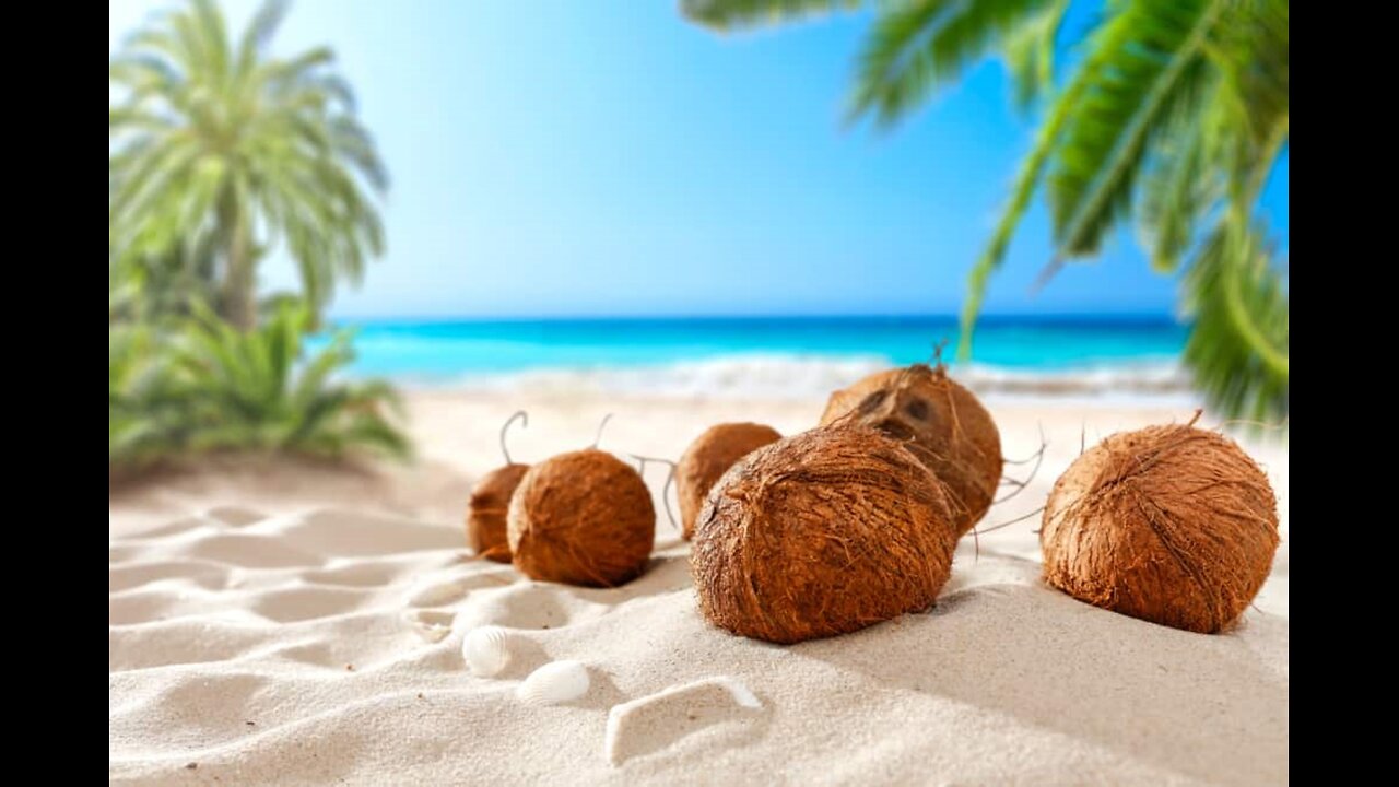 Thailand Coconuts