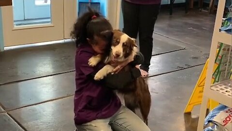 Dog Can’t Contain Its Emotions When He Sees Owner After 21 Days