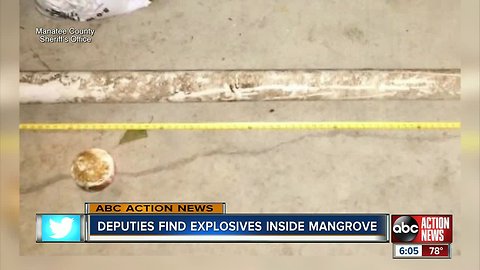 Manatee County homeowner finds explosives behind home