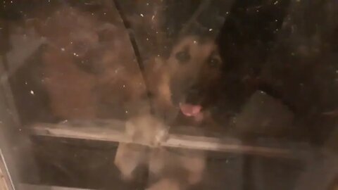 Bandit broke a window due to fire works