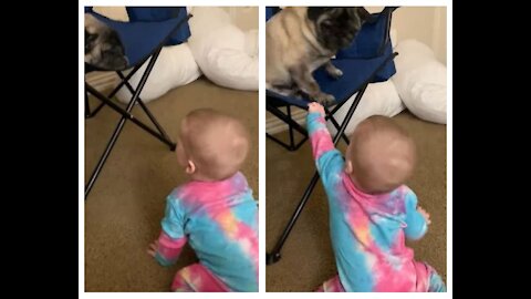 baby has fun scaring little dog