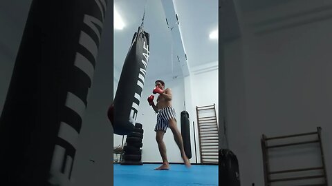 Kick and Punch Bag (39)