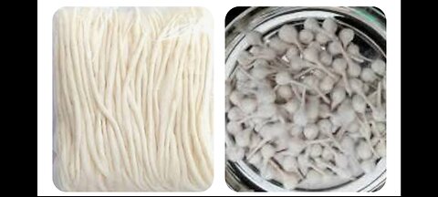 गोल बत्ती और लंबी बत्ती में अंतर | Difference between round cotton Wick and long cotton Wick |