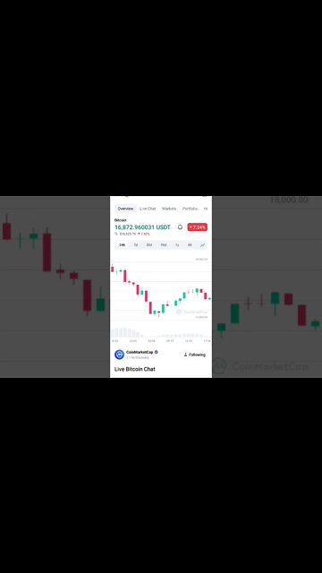 BITCOIN CRASH TO $10K BITCOIN BEAR MARKET SURVIVAL BITCOIN NEWS #cryptonews #bitcoin #bitcoinnews