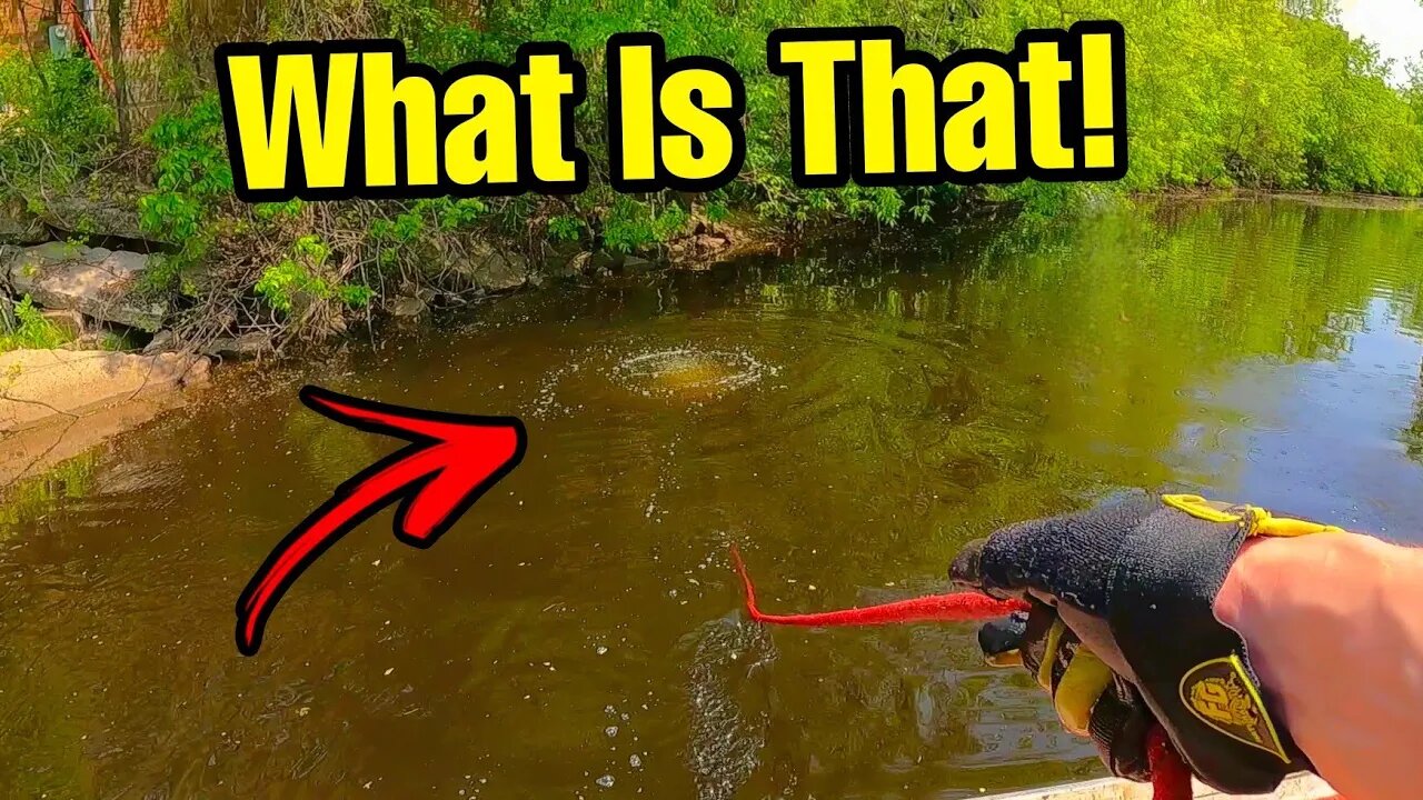 GIANT MAGNET Clicked On Something That Was NEVER Supposed To Be Found!!!
