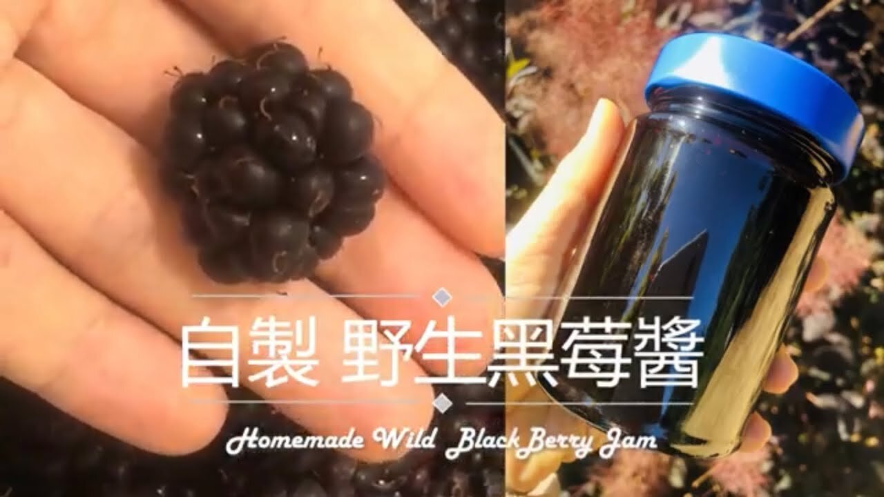 美國生活｜自製果醬 -路邊野生黑莓 不需梅森罐How to Get Rid of Blackberry? Homemade Wild Blackberry Jam Bottling & Canning