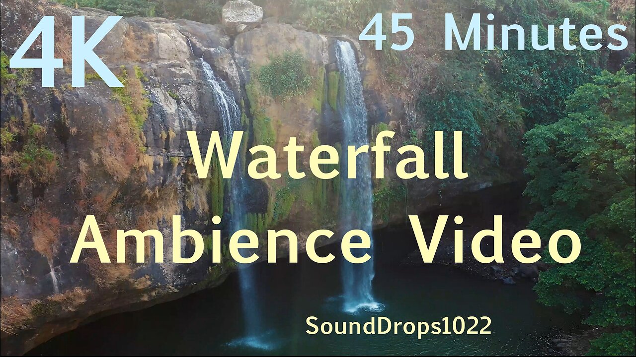 Relaxation | 45-Minute Nature Ambience