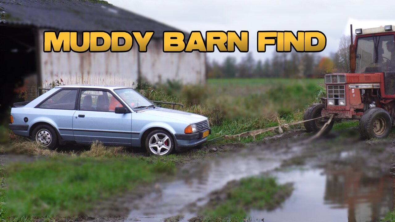 Ford Escort Mk3 1983 - Barn Find