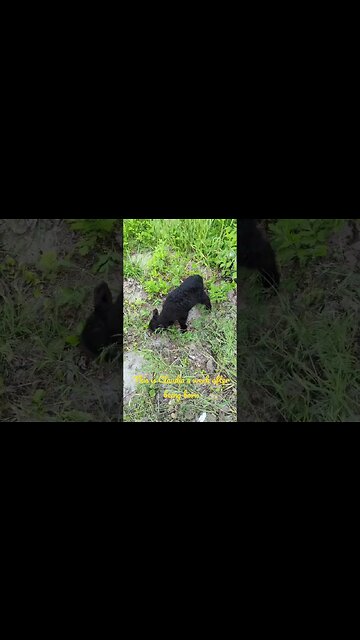 She was rejected but saved by goodness