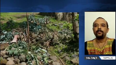 አብይ አህመድ ወለጋ ላይ በአንድ ቀን 300 አማራ ሲገደል ሚዲያ እንዲዘግብ አይፈቅድም ምክንያቱም ገዳዩ ኦሮሞ ስለሆነ - መ/ር ዘመድኩን በቀለ