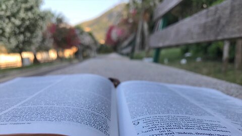 'Pray for This Young Man': Student Abruptly Arrested While Reading from Bible on Sidewalk